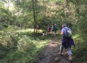 Dans la forêt au pied de l'Ibanteli