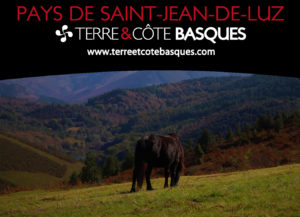 Programme de Randonnées Terre & Côte Basques 2018